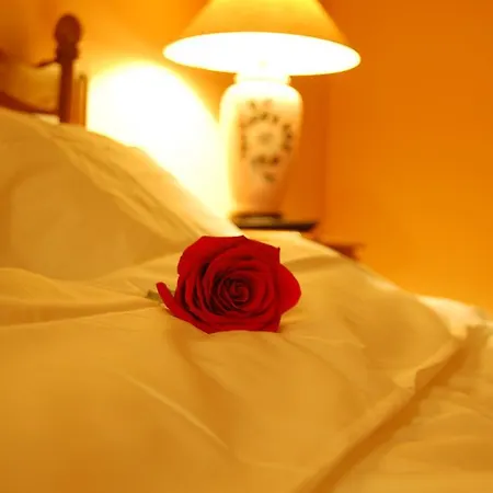 Boutique By Hotel